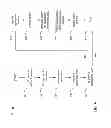 Fig. 05 - Video distribution systems and methods for multiple users