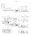 Fig. 08 - Virtual converged cable access platforms for HFC cable networks