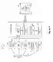 Fig. 02 - Data mapping using trust services