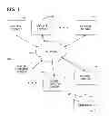 Fig. 02 - CROSS-DOMAIN AUTHENTICATION