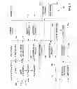 Fig. 04 - Credential authentication methods and systems