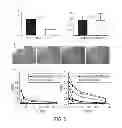Fig. 06 - Generation of autologous T-cells in mice