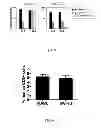 Fig. 09 - Generation of autologous T-cells in mice