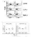 Fig. 12 - Generation of autologous T-cells in mice