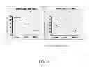 Fig. 14 - Generation of autologous T-cells in mice