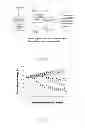 Fig. 22 - Generation of autologous T-cells in mice