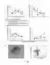 Fig. 25 - Generation of autologous T-cells in mice