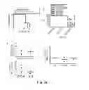 Fig. 27 - Generation of autologous T-cells in mice