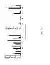 Fig. 31 - Generation of autologous T-cells in mice