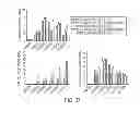 Fig. 35 - Generation of autologous T-cells in mice