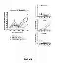 Fig. 45 - Generation of autologous T-cells in mice