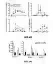 Fig. 49 - Generation of autologous T-cells in mice