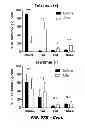 Fig. 63 - Generation of autologous T-cells in mice