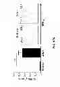 Fig. 64 - Generation of autologous T-cells in mice