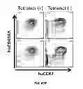 Fig. 66 - Generation of autologous T-cells in mice