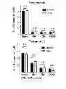 Fig. 67 - Generation of autologous T-cells in mice