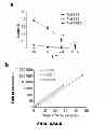Fig. 69 - Generation of autologous T-cells in mice