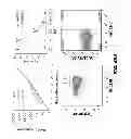 Fig. 72 - Generation of autologous T-cells in mice