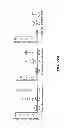 Fig. 78 - Generation of autologous T-cells in mice