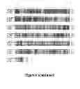 Fig. 08 - Resistance genes
