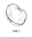 Fig. 02 - WIG CAP