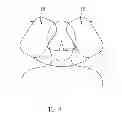 Fig. 05 - ADJUSTABLE PILLOW