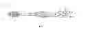 Fig. 02 - Toothbrush with visual and/or other sensory effects
