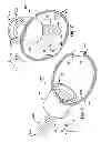 Fig. 02 - Tethered fastening device