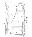 Fig. 07 - Article of footwear with a removable foot-supporting insert