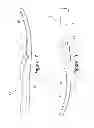 Fig. 11 - Article of footwear with a removable foot-supporting insert