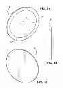 Fig. 02 - Ultra-violet selective vehicle decoration