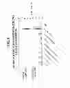 Fig. 09 - Methods and Systems for Feedstock Production from Sewage and Product Manufacturing Therefrom