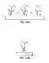 Fig. 09 - Plant growth substrates