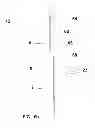 Fig. 13 - Apparatus for a wind resistant and post load re-tensioning system utilizing a composite fabric and attachment apparatus