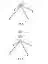 Fig. 03 - Space truss system