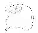 Fig. 02 - Saddle with adjustable blocks