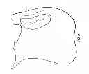 Fig. 03 - Saddle with adjustable blocks