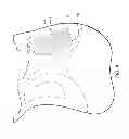 Fig. 09 - Saddle with adjustable blocks