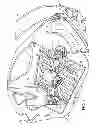 Fig. 05 - Filter shaker system and method