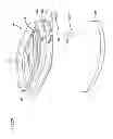 Fig. 17 - Air filter having fluted filter media