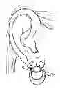 Fig. 01 - Earring support device
