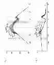 Fig. 02 - Method for determining the amount of fuel leaving an injector