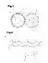 Fig. 02 - Component with an adaptive coating
