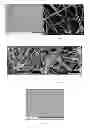 Fig. 03 - METHODS OF RAPID PREPARATION OF SILVER NANOWIRES WITH HIGH ASPECT RATIO