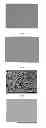 Fig. 05 - METHODS OF RAPID PREPARATION OF SILVER NANOWIRES WITH HIGH ASPECT RATIO