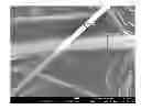 Fig. 01 - Method of preparing silver nanowire