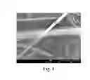 Fig. 02 - Method of preparing silver nanowire