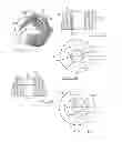Fig. 05 - Screw drive design