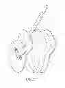 Fig. 26 - Hand actuated tremolo system for guitars