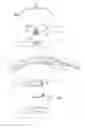 Fig. 05 - Coffee maker with single serve setting